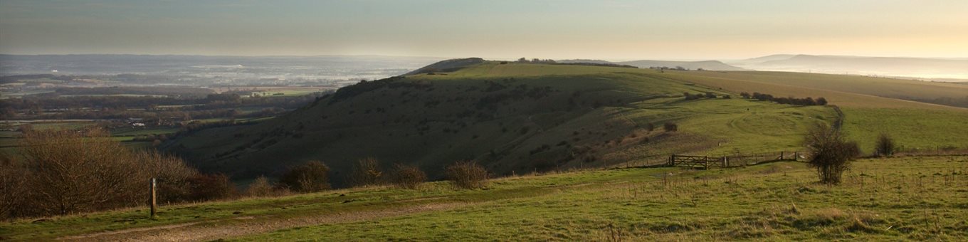 A landscape image showing the rolling hills of the Sussex Downs