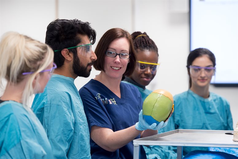 Prof Claire Smith discusses a model of a skull with students in anatomy lab