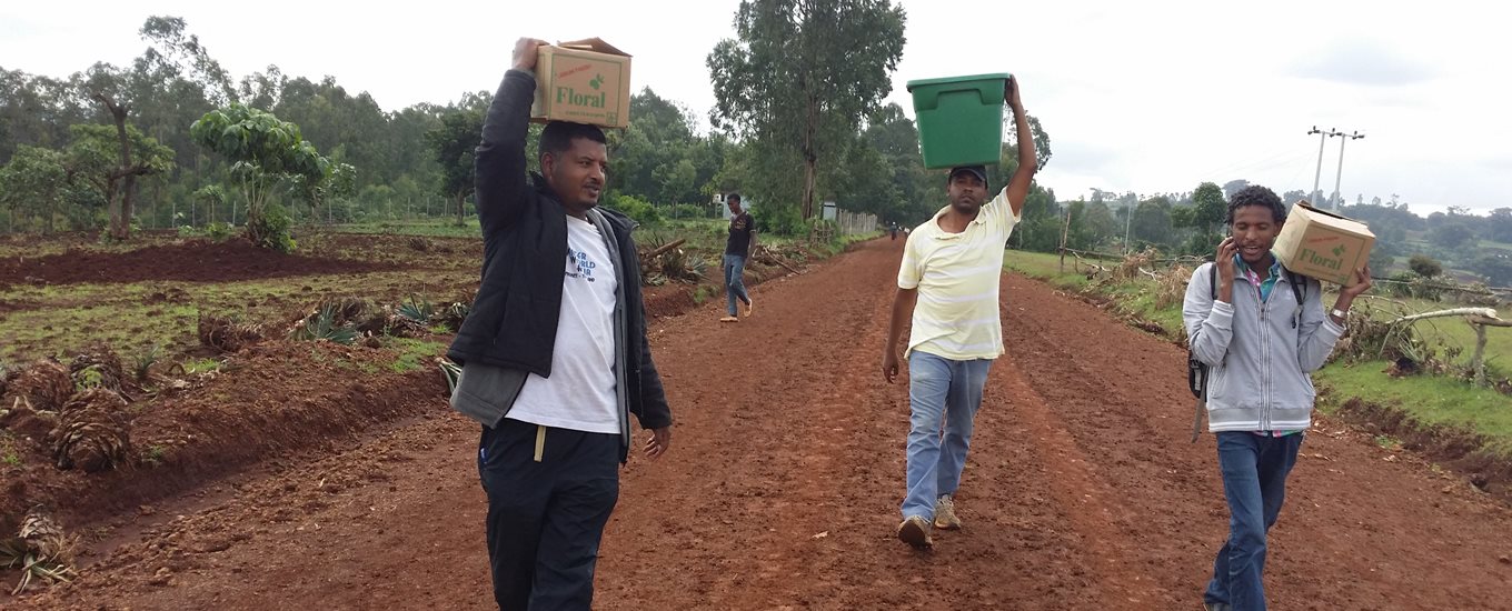 Men working in a field, carrying boxes on their heads