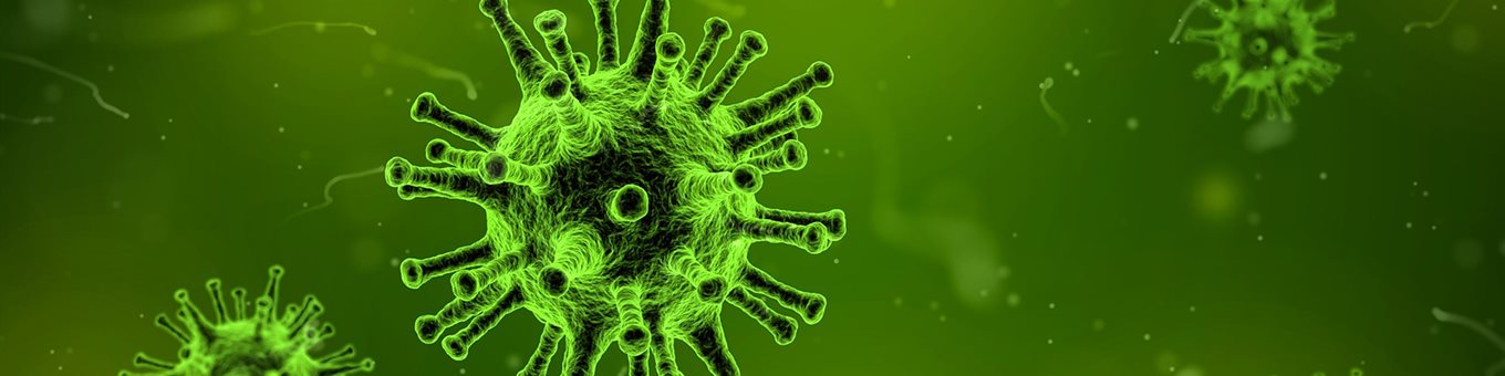 RNA Bio research group5