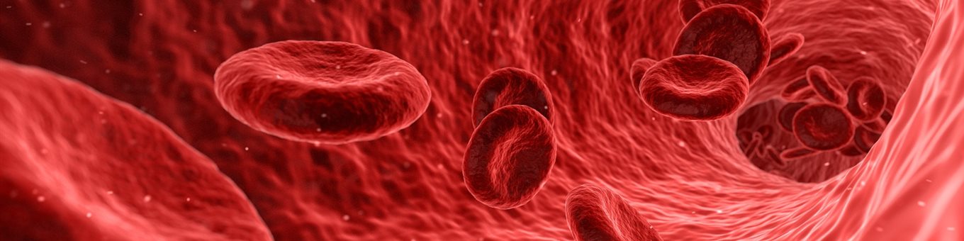 microscope image of red bloodcells in bloodstream