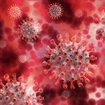 Sussex-led genomics initiative moves infection prevention from research into practice