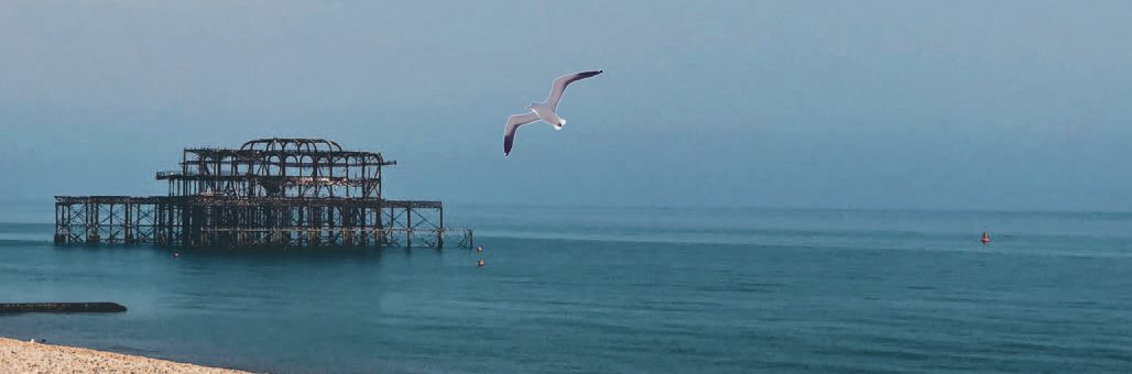 Recent Advances in Otitis Media graphic showing the pier in brighton and a seagull