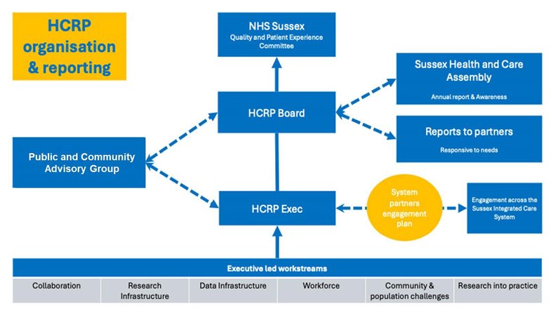 An illustration showing the HCRP Executive Group Governance Structure