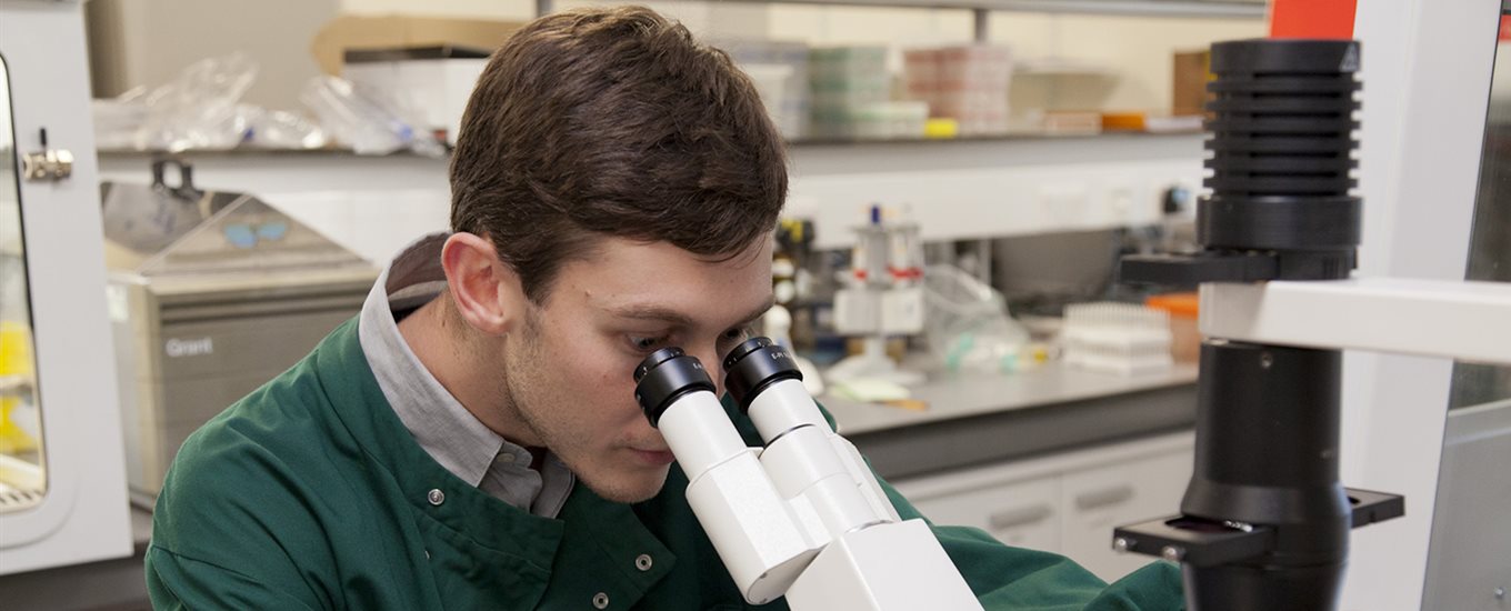 Image of student with a microscope