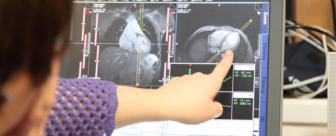 student pointing at a computer scan of organs