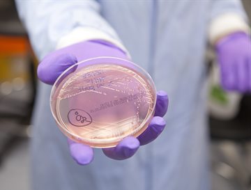 A close up of a petri dish with a purple liquid inside it