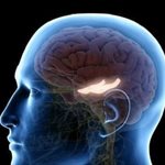 Study reveals link between hypermobile joints and emotion regulation difficulties in neurodivergent individuals
