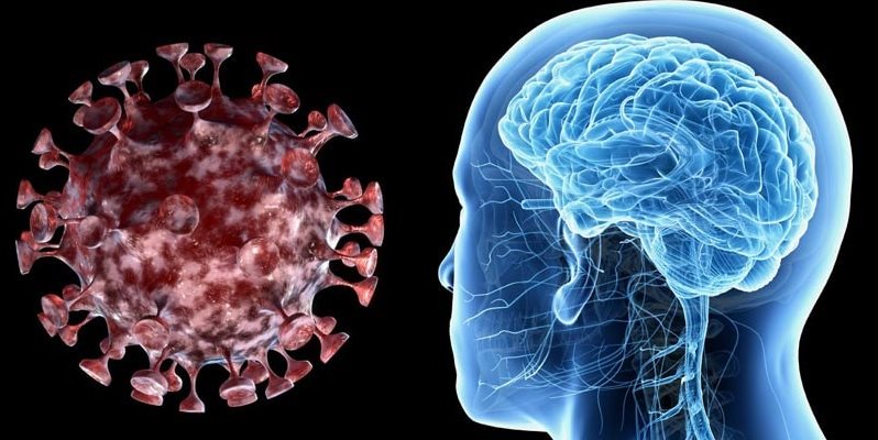 Illustrated image of a head and brain with a virus next to it