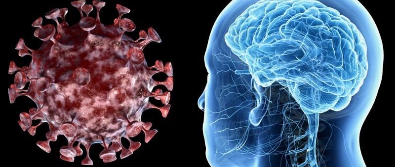 Illustrated image of a head and brain with a virus next to it