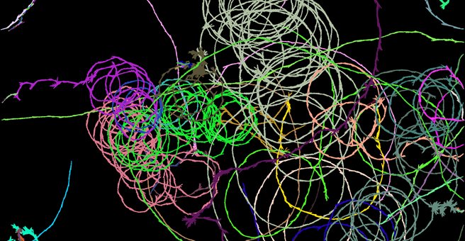 Multicoloured swirls on a black background
