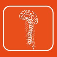 An orange graphic of a brain with a spinal chord attached
