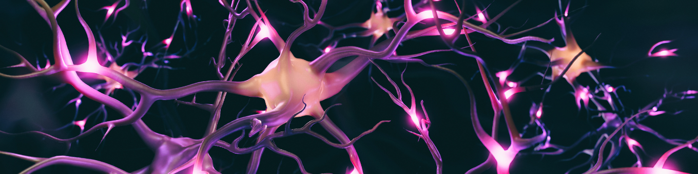 Purple neurons and synapses on a dark background