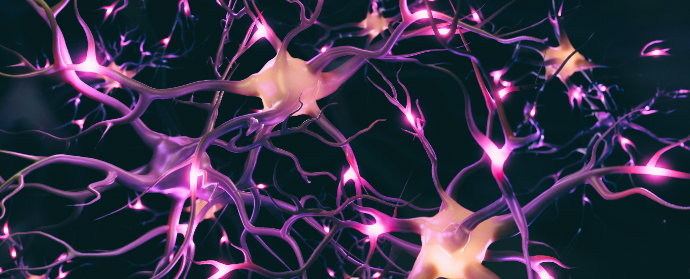 Purple neurons and synapses on a dark background