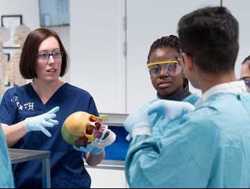 Prof Claire Smith shows gowned students a skull model in the dissection room