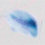 BSMS research reveals how anxiety shifts decision-making in the brain