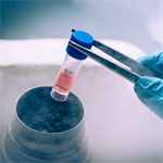 Pioneering Code of Practice released for use of stem cell-based embryo models in research