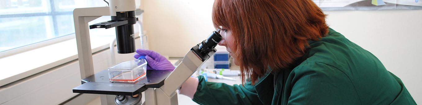 student looking through a microscope in a lab