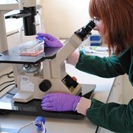 A woman looking through a microscope in a lab