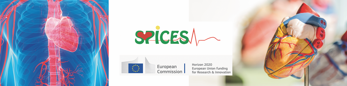 Graphic of a transparent skeleton showing heart, arteries and spine hi-lighted in red, next to the 'SPICES' logo