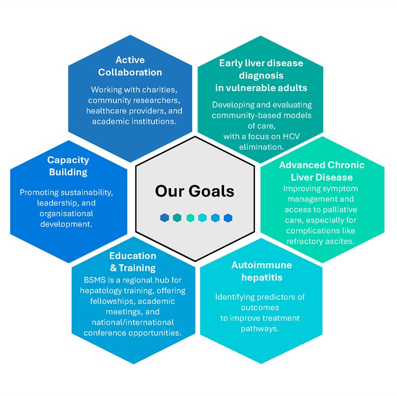 A hexagon showing the 6 goals of the Liver research Centre