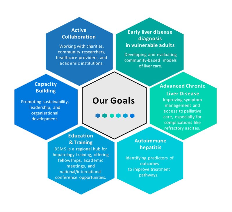 A graphic with different hexagons in blue and green to represent the 6 goals of the Liver Centre