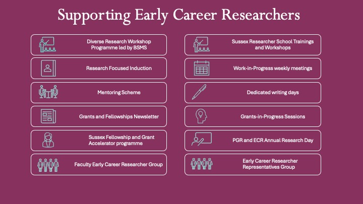 Supporting Early Career Researchers infographic