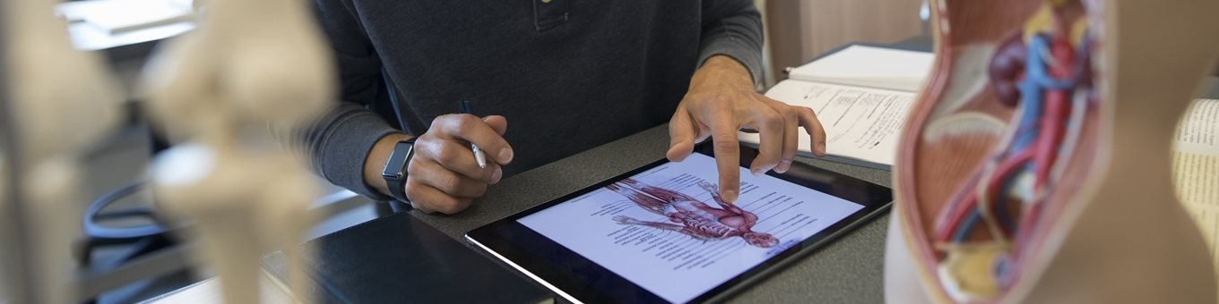 A person using an iPad with an image of the structure of the body