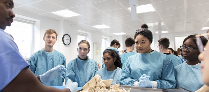 A group of first year students in the anatomy lab watching a demonstration