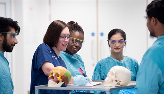 Prof Claire Smith teaching students in the anatomy lab
