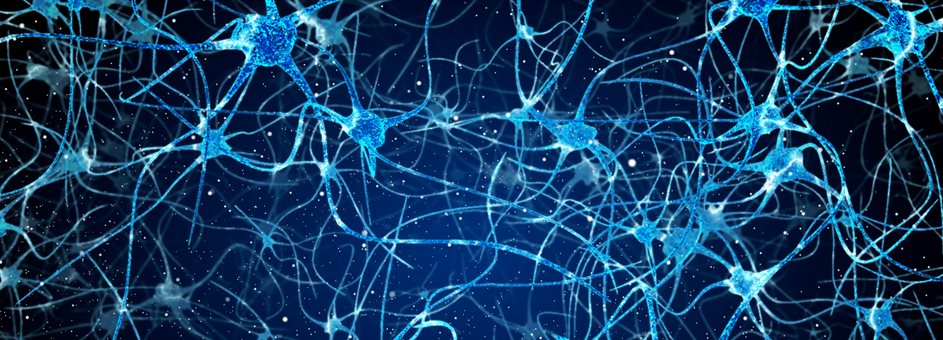 Microscopic images of neurotransmitters