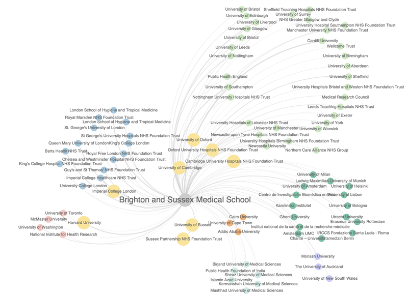 A graphic showing the collaborations between BSMS and other institutions - this is shown through arrows and links between institutions which are in different colours and written in black font.