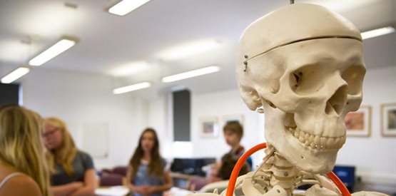 Skeleton model with stethoscope and students in background