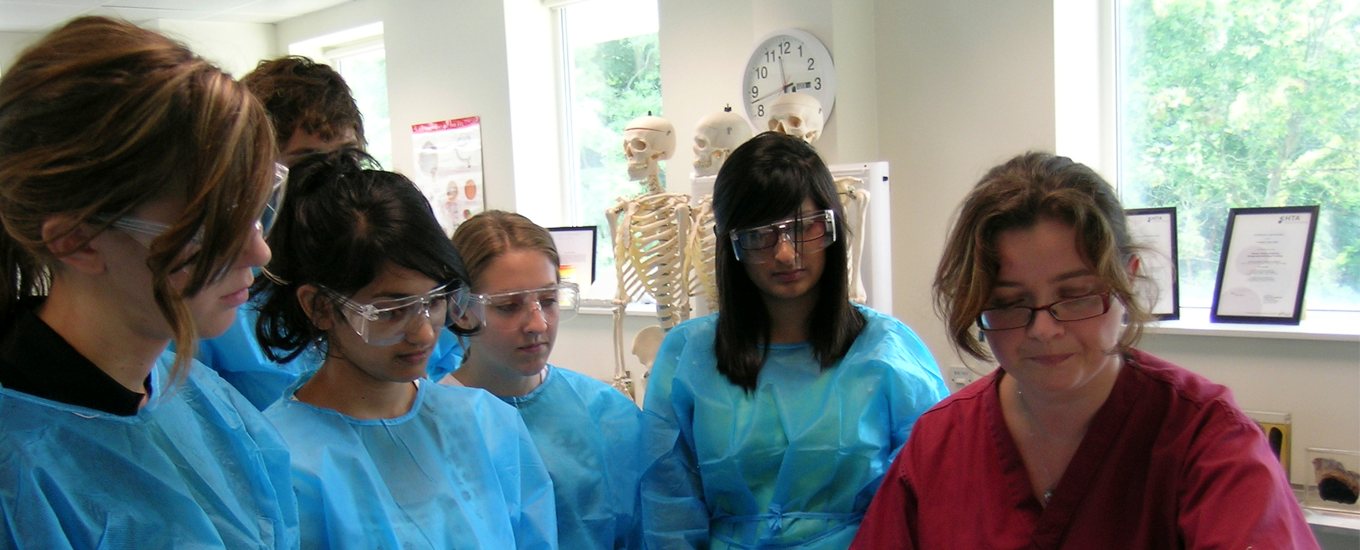 A teacher taking a session with students in the anatomy suite