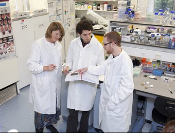 Three researchers in a lab