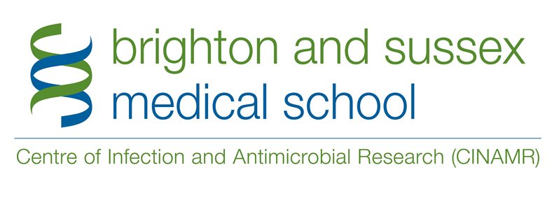 The CINAMR logo with the BSMS one above it