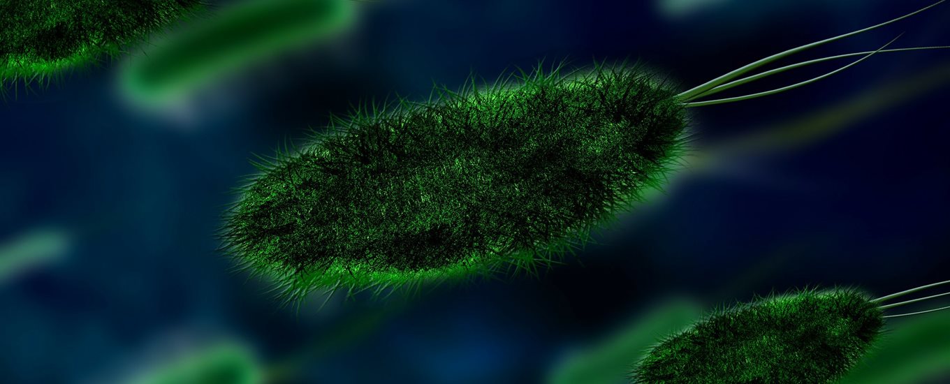 microscopic image with a close up of a hairy green bacteria