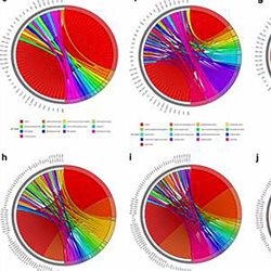 Data graphs taken from the paper on searching for a better tuberculosis vaccine