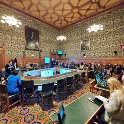 A group of people sat around a table in a grand room in parliament to discuss neglected tropical diseases