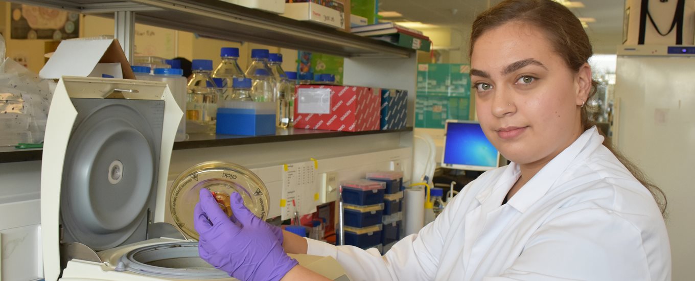 A BSMS medical student in a research laboratory