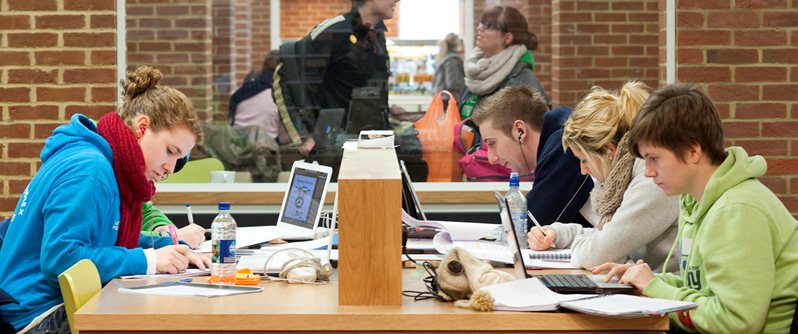 Students study in the library