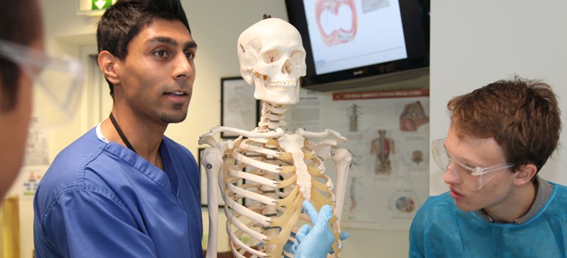 A tutor points to the ribs of a skeleton